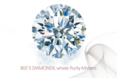 Bee's Diamonds | 投资